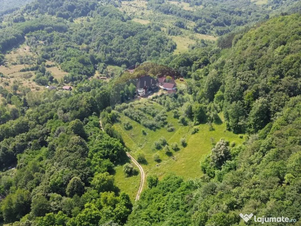 CASTEL DE VANZARE IN MARAMURES 