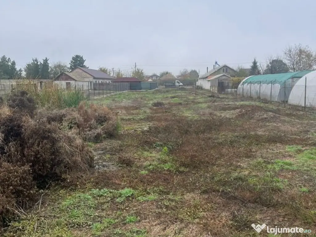 Teren Intravilan Poiana 