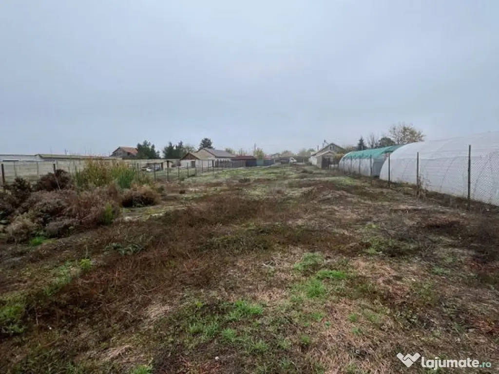 Teren Intravilan Poiana 