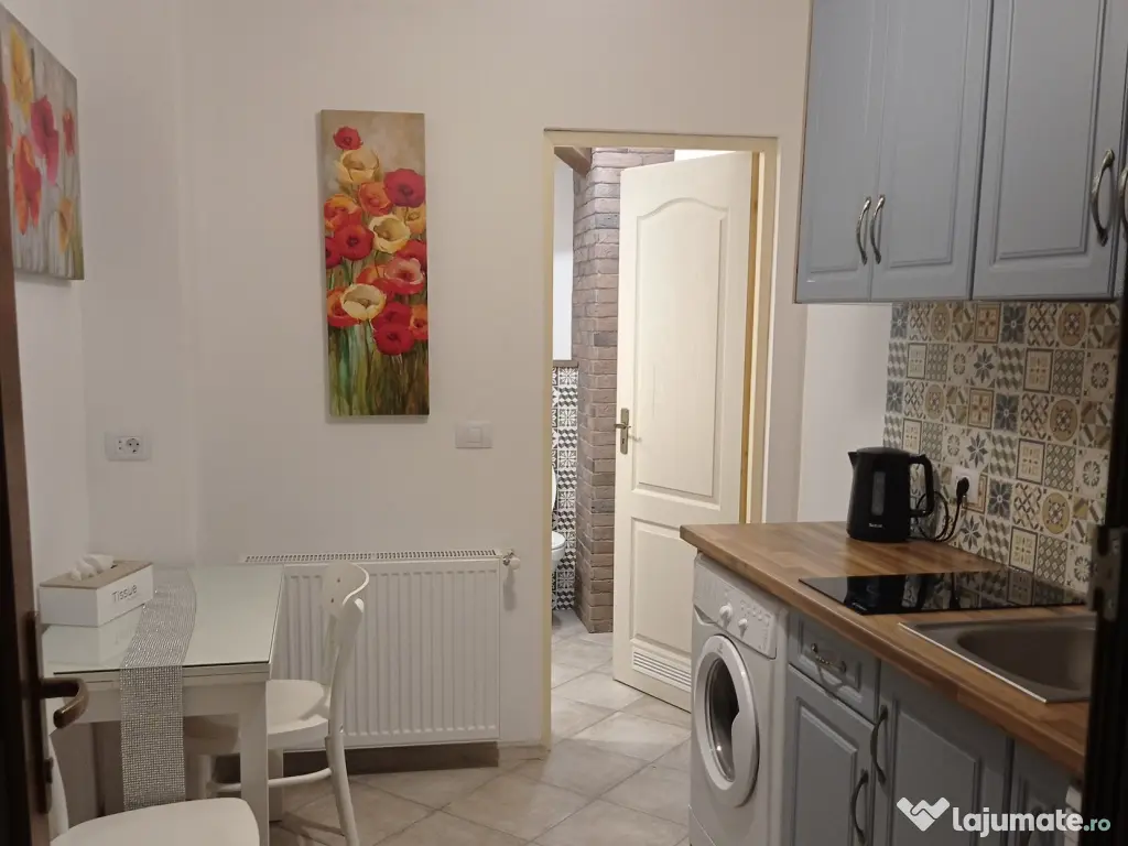 DIRECT PROPRIETAR | Apartament 2 camere Centrul Vechi Brașov | Ideal Investiție 
