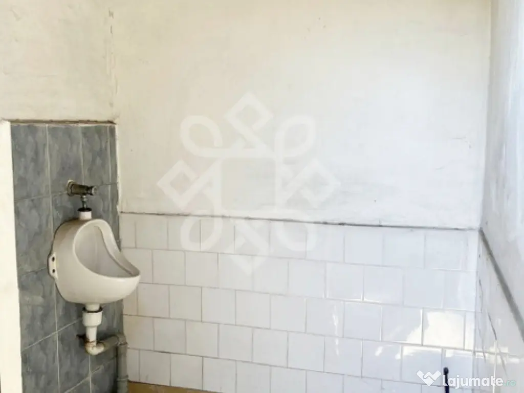 Spatiu comercial de inchiriat in Oncea 