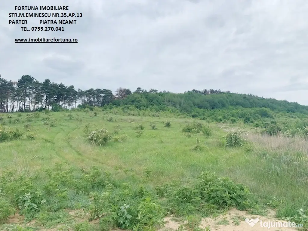 Teren zona Pietricica, cadru natural superb 