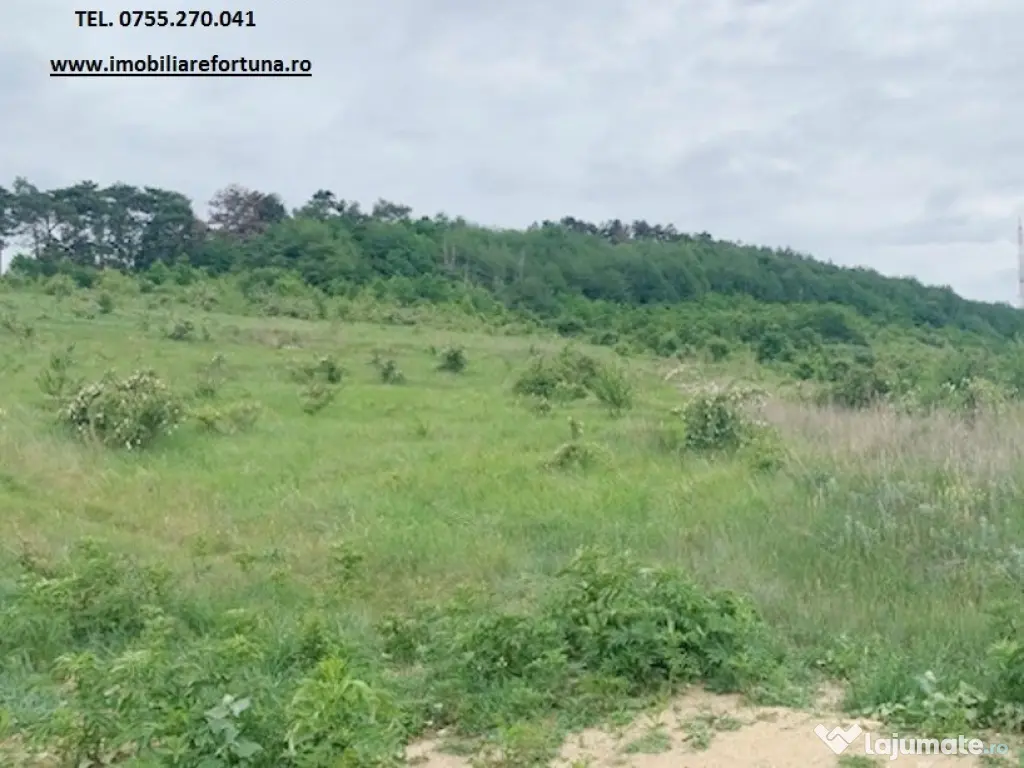 Teren zona Pietricica, cadru natural superb 