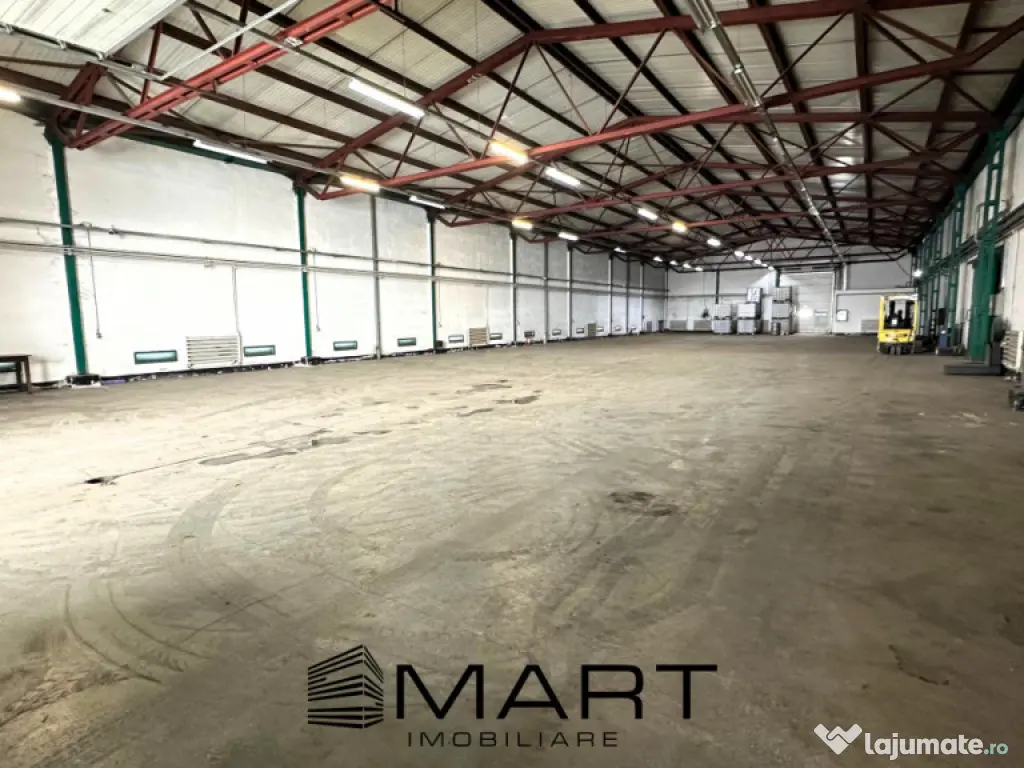 Hala 850mp zona industriala Vest 