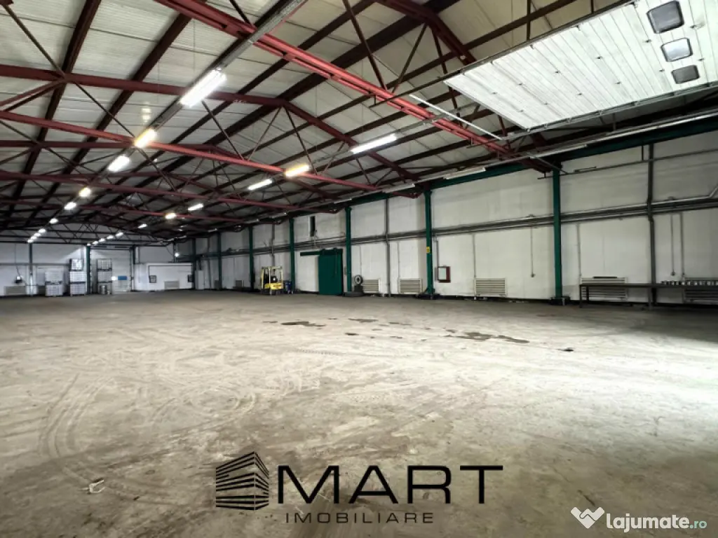 Hala 850mp zona industriala Vest 