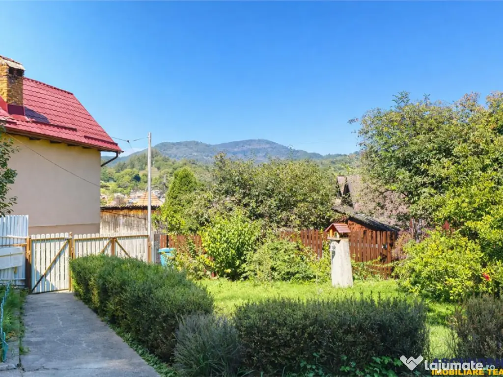 3D!Casa apreciabila,600mp teren,decor incantator, Rucar. Bra