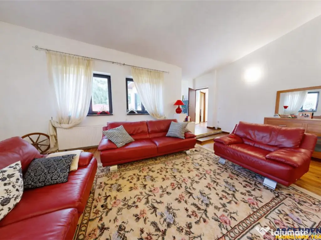 3D!Casa apreciabila,600mp teren,decor incantator, Rucar. Bra