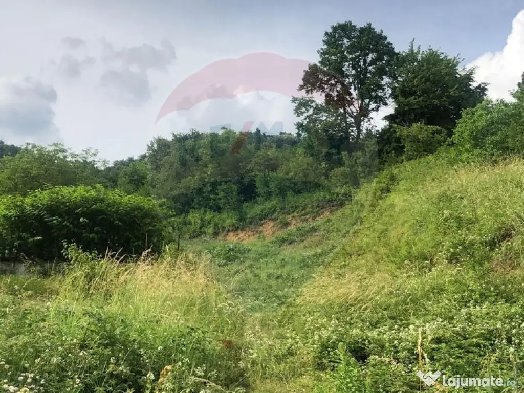 Teren 2,868mp /case/ duplexuri /Baia Mare / Strada Sanata... 