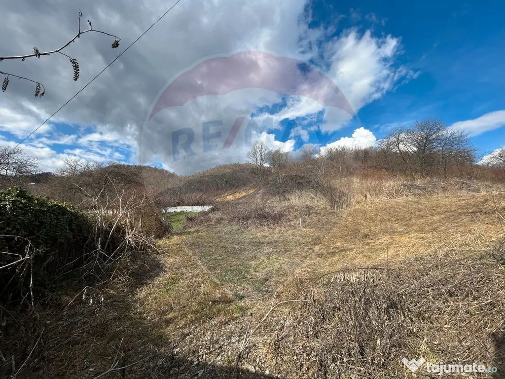 Teren 2,868mp /case/ duplexuri /Baia Mare / Strada Sanata... 