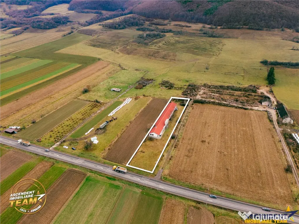 FILM! Ferma de iepuri,Malnas,Covasna: domeniu:industrial com