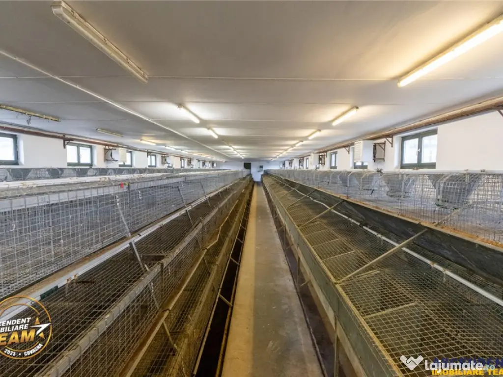 FILM! Ferma de iepuri,Malnas,Covasna: domeniu:industrial com