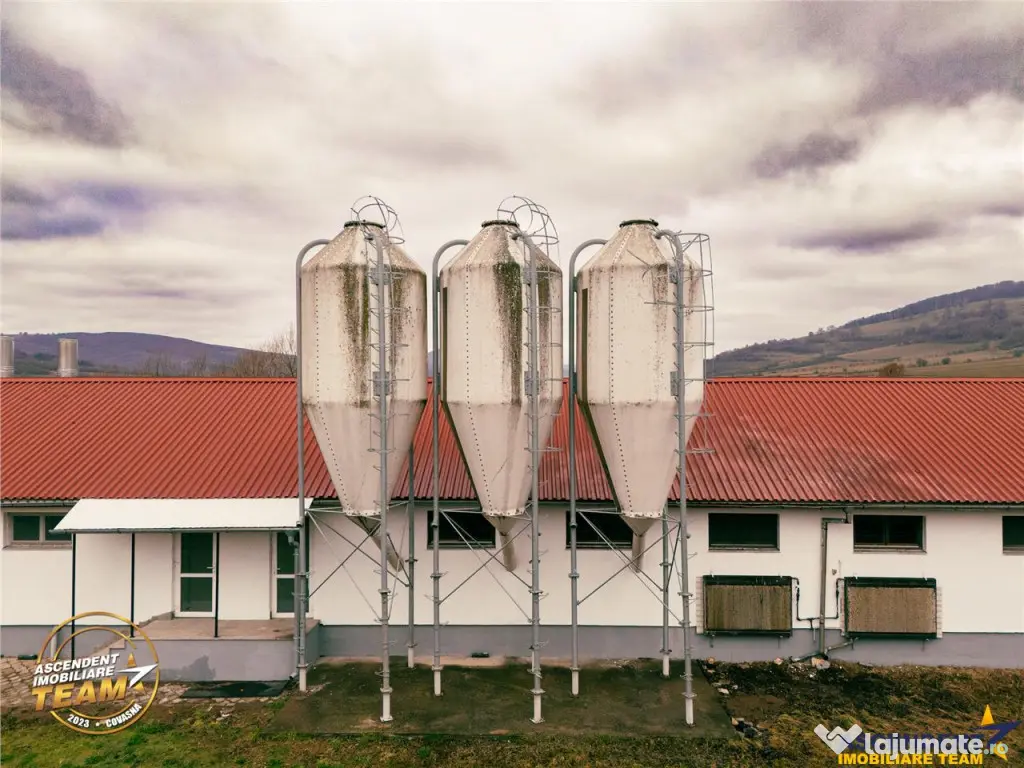 FILM! Ferma de iepuri,Malnas,Covasna: domeniu:industrial com