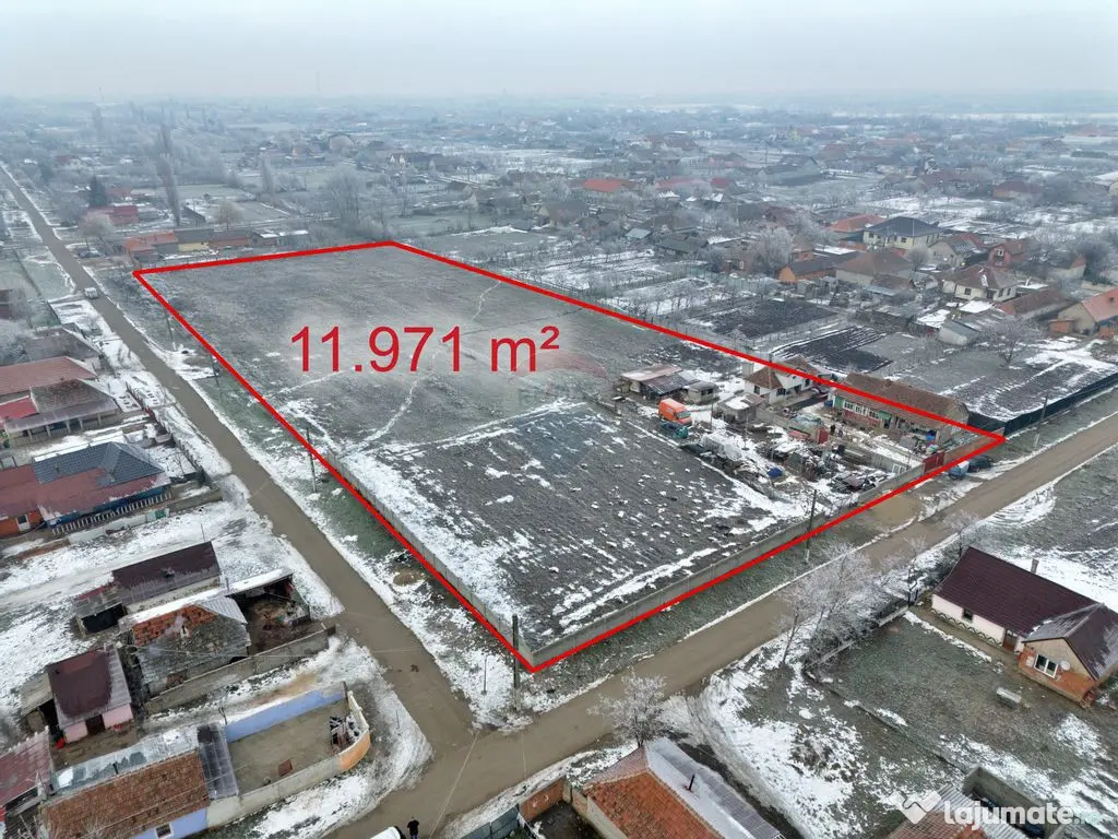 Teren intravilan de vânzare 11.971 mp, Șimand, jud. Arad 