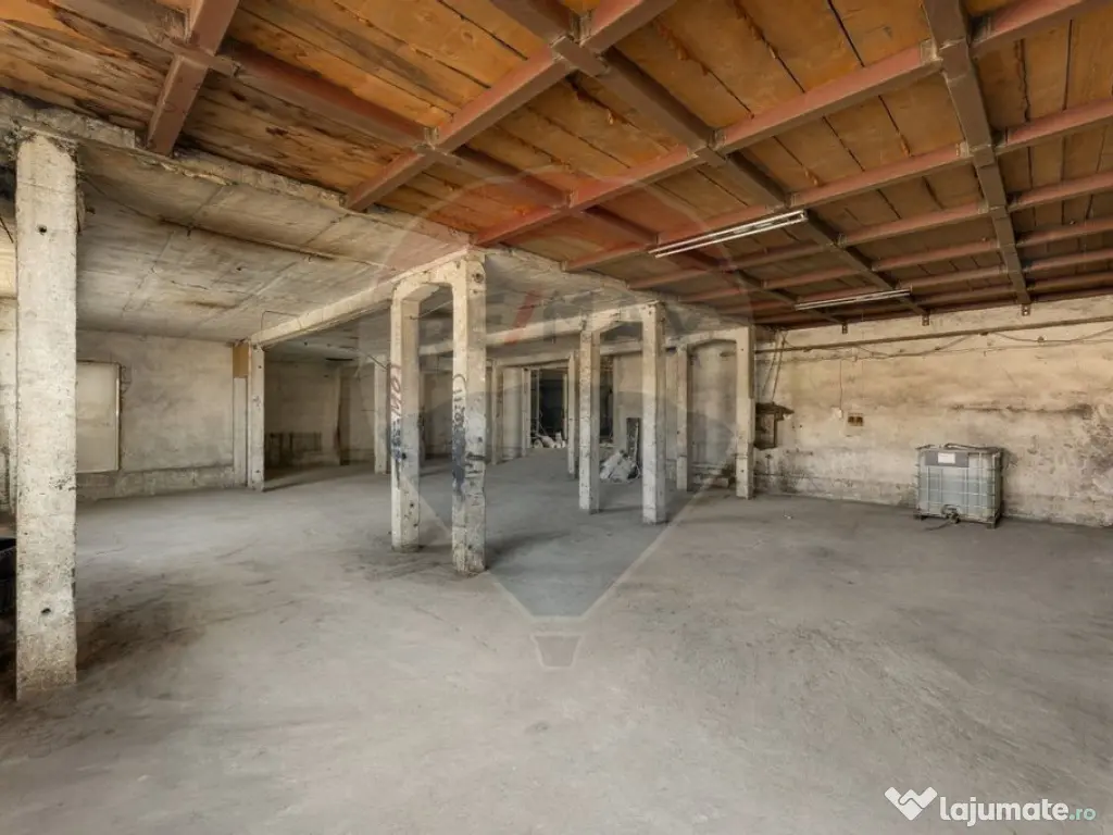 Spațiu industrial de închiriat 700 m² – zona Aradul Nou