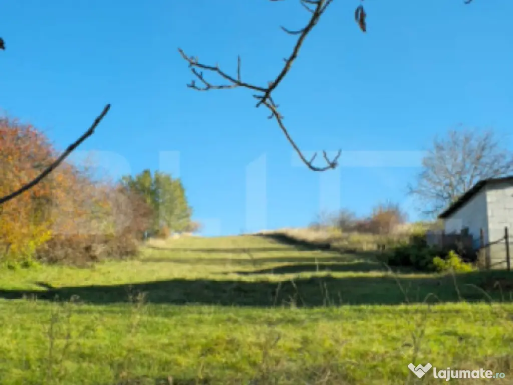 Teren de Vanzare, Burdujeni Sat, 24,6ari, toate utilitatile
