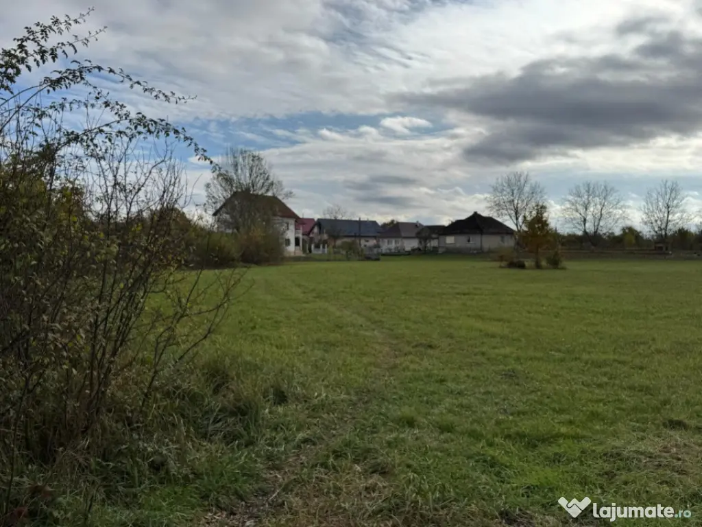 Teren intravilan de vânzare – 35 ari, Sat Mogoșești, co