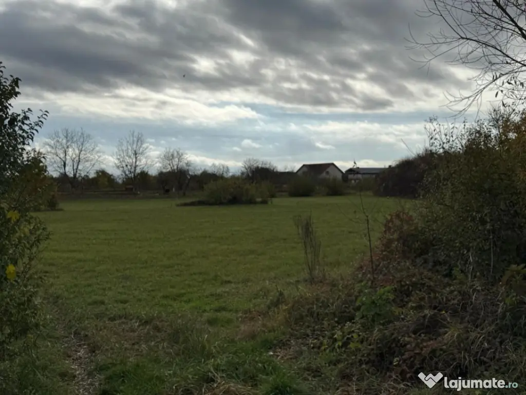 Teren intravilan de vânzare – 35 ari, Sat Mogoșești, co