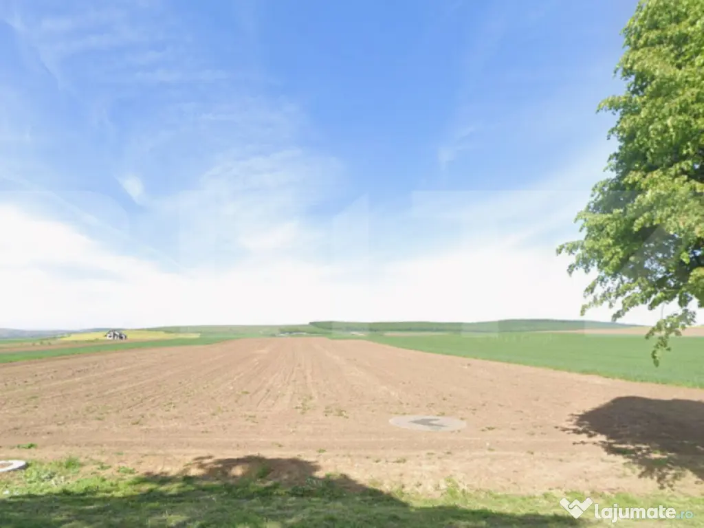 Teren 75 ari, Drumul Mitocului, la strada principala