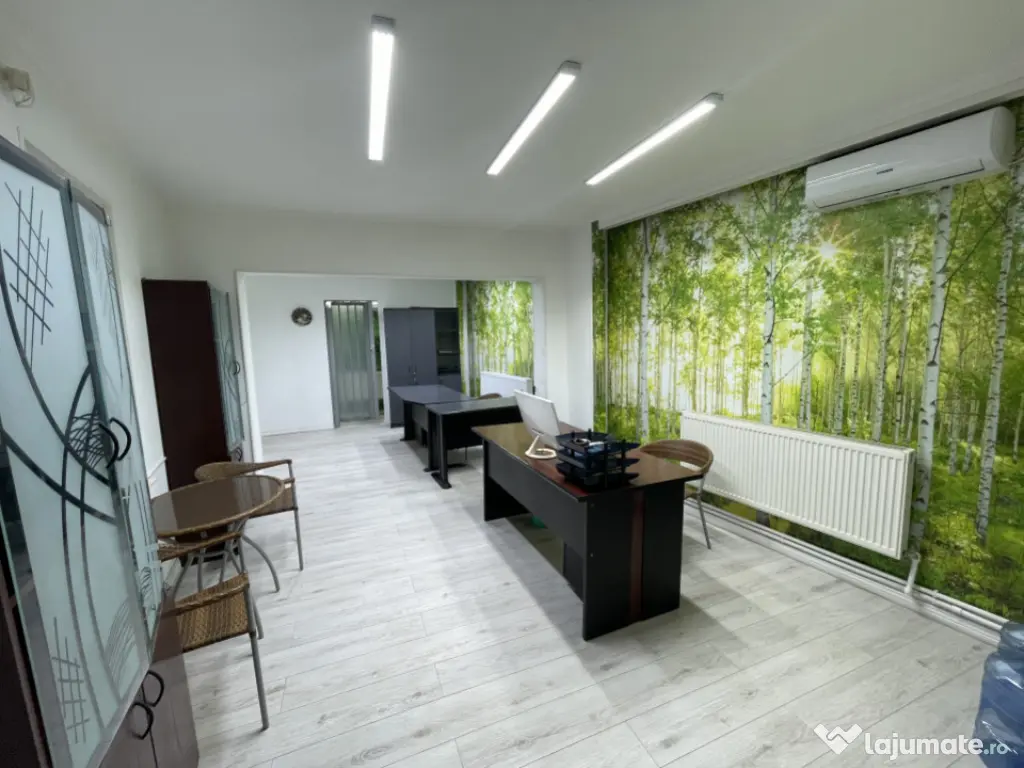 Spatiu Comercial - Birou - Productie - Cabinet - Distributie 