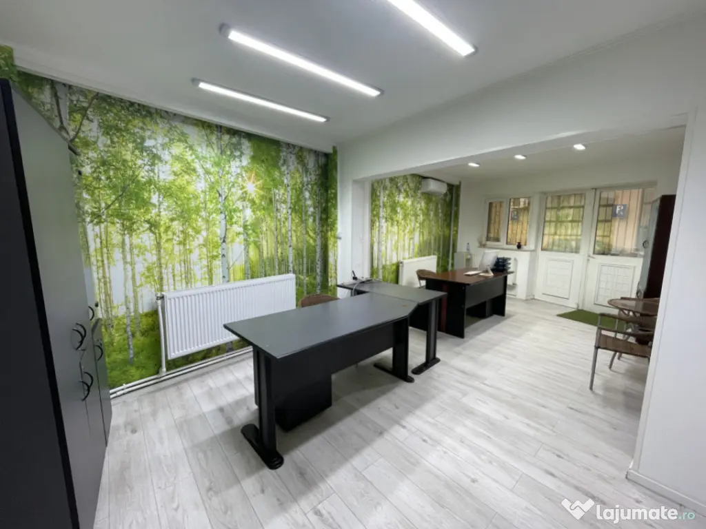 Spatiu Comercial - Birou - Productie - Cabinet - Distributie 