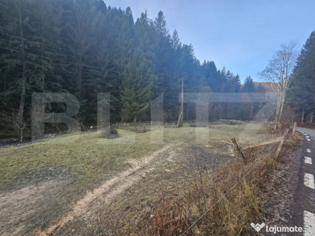 Teren Intravilan 10000 mp, Furduieşti, Câmpeni