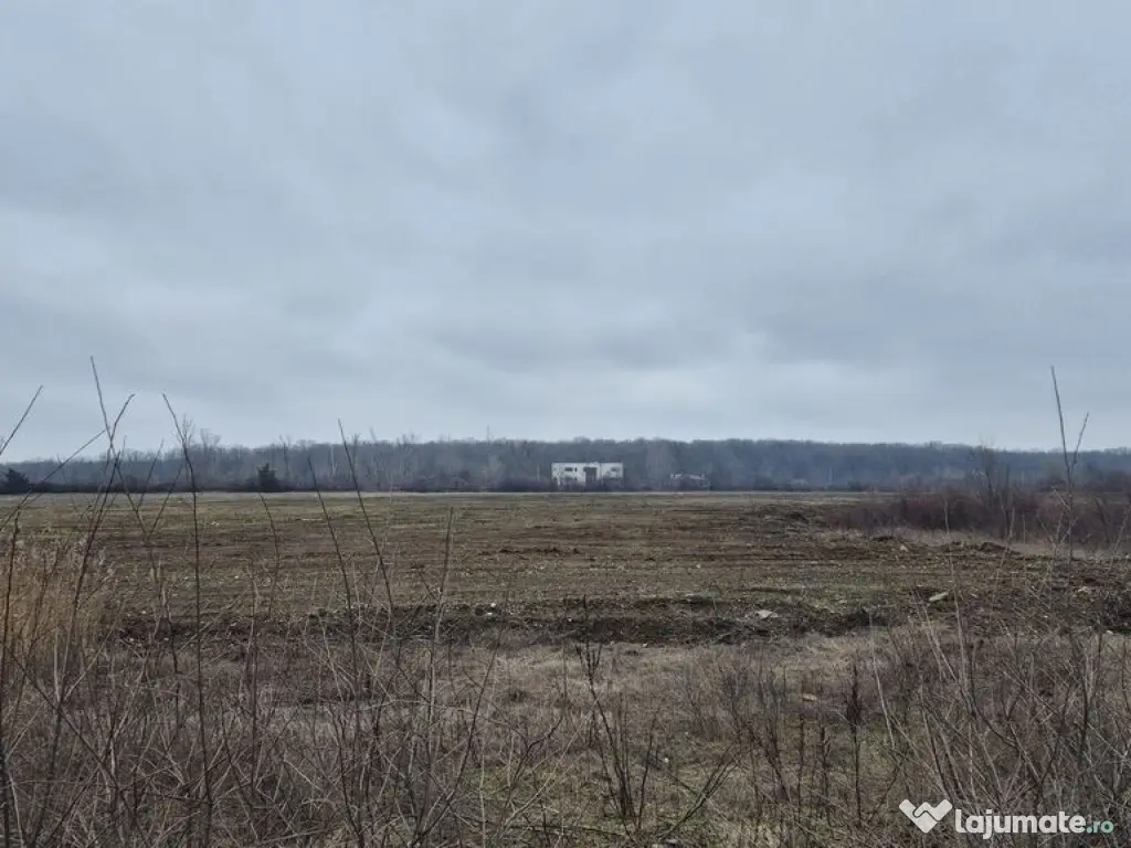 Teren intravilan 49309 mp - sos. De Centura pentru Parcur... 