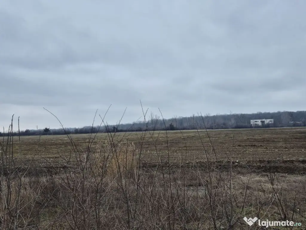 Teren intravilan 49309 mp - sos. De Centura pentru Parcur... 