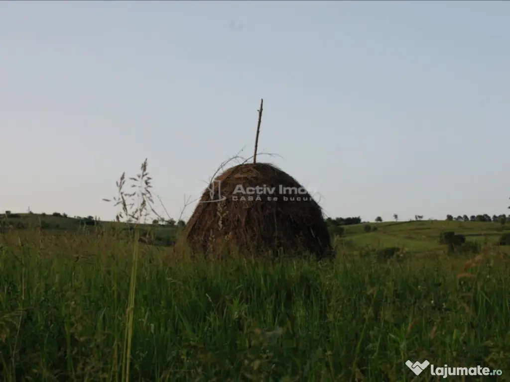 Casa de in Uileacul de Beius – gospodarie traditionala,...