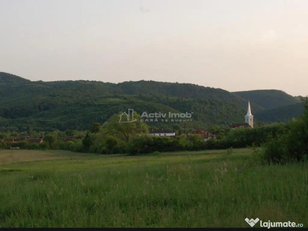 Casa de in Uileacul de Beius – gospodarie traditionala,...