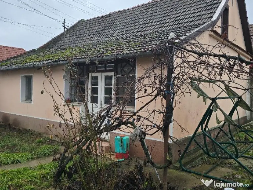 Casa plus anexa parter, Tamaseu central, gaz, sosea , ter 3040 mp 