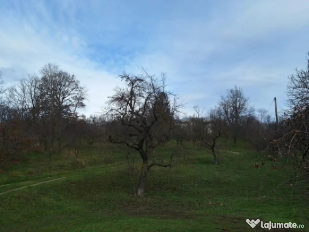 Moșia boierească din vârf de deal, Scorțeni - Prahova 