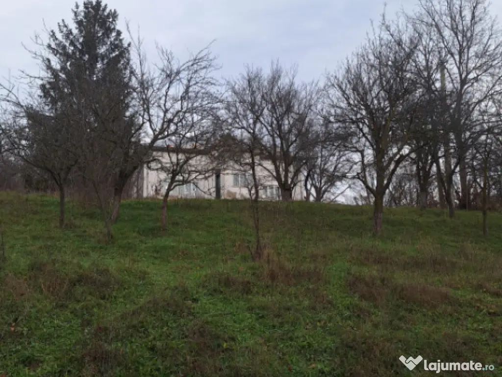 Moșia boierească din vârf de deal, Scorțeni - Prahova 