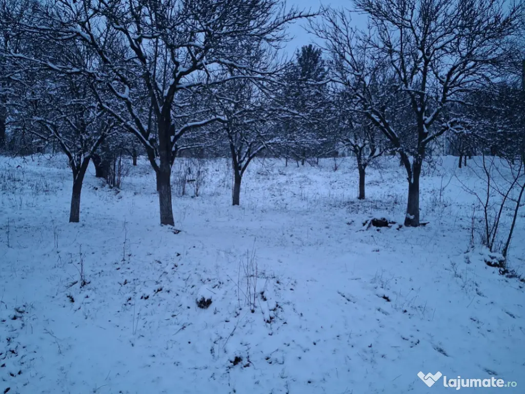 Moșia boierească din vârf de deal, Scorțeni - Prahova 