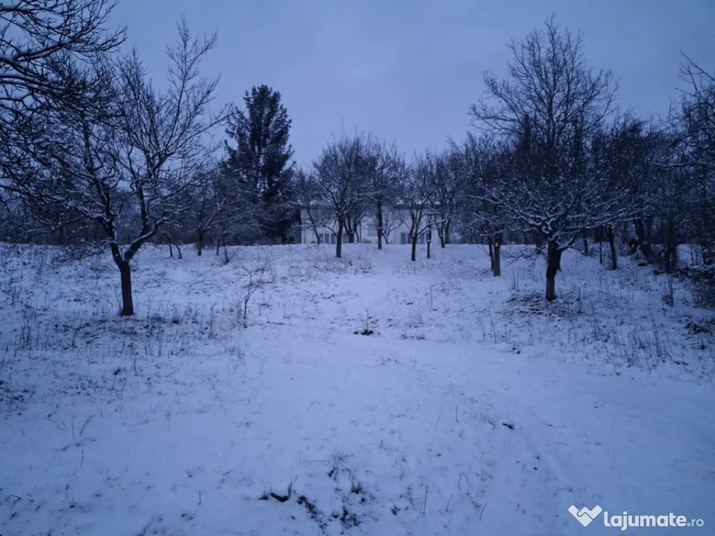 Moșia boierească din vârf de deal, Scorțeni - Prahova 