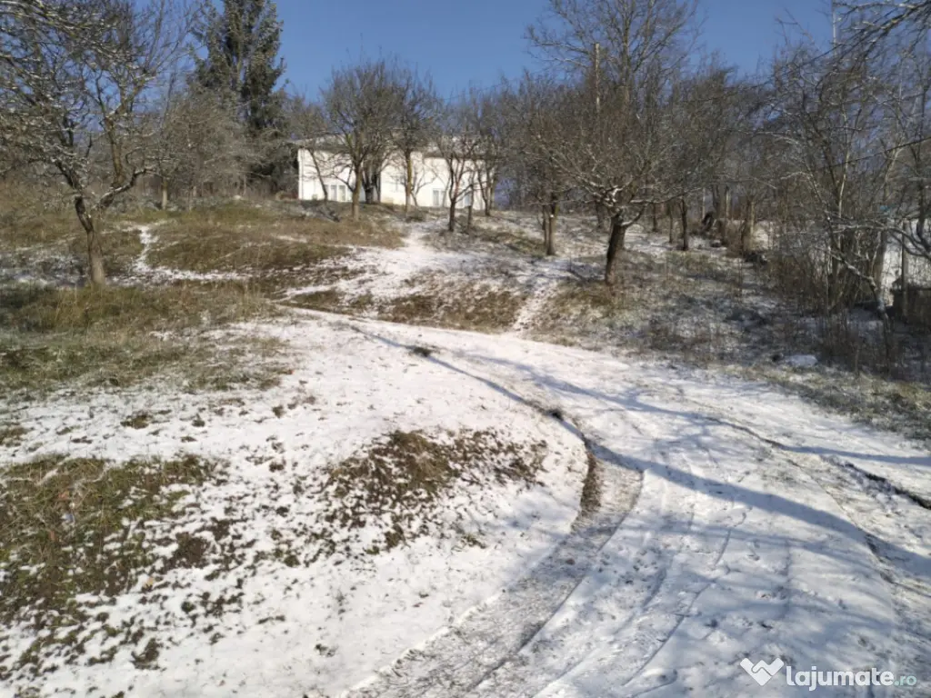 Moșia boierească din vârf de deal, Scorțeni - Prahova 