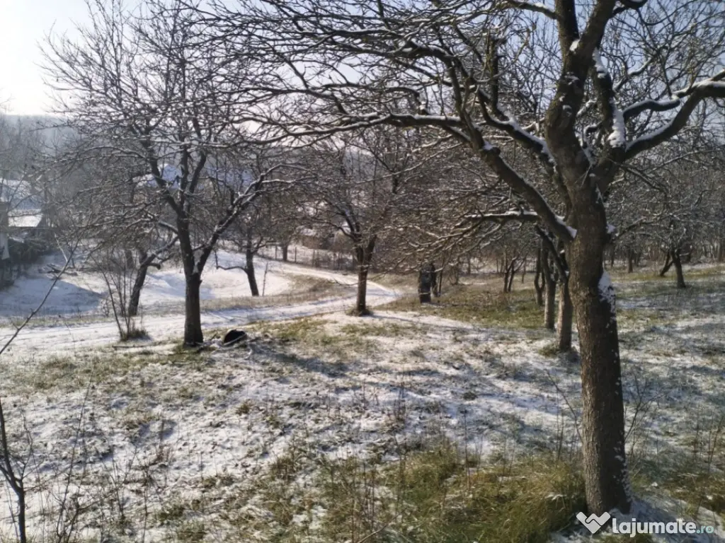 Moșia boierească din vârf de deal, Scorțeni - Prahova 
