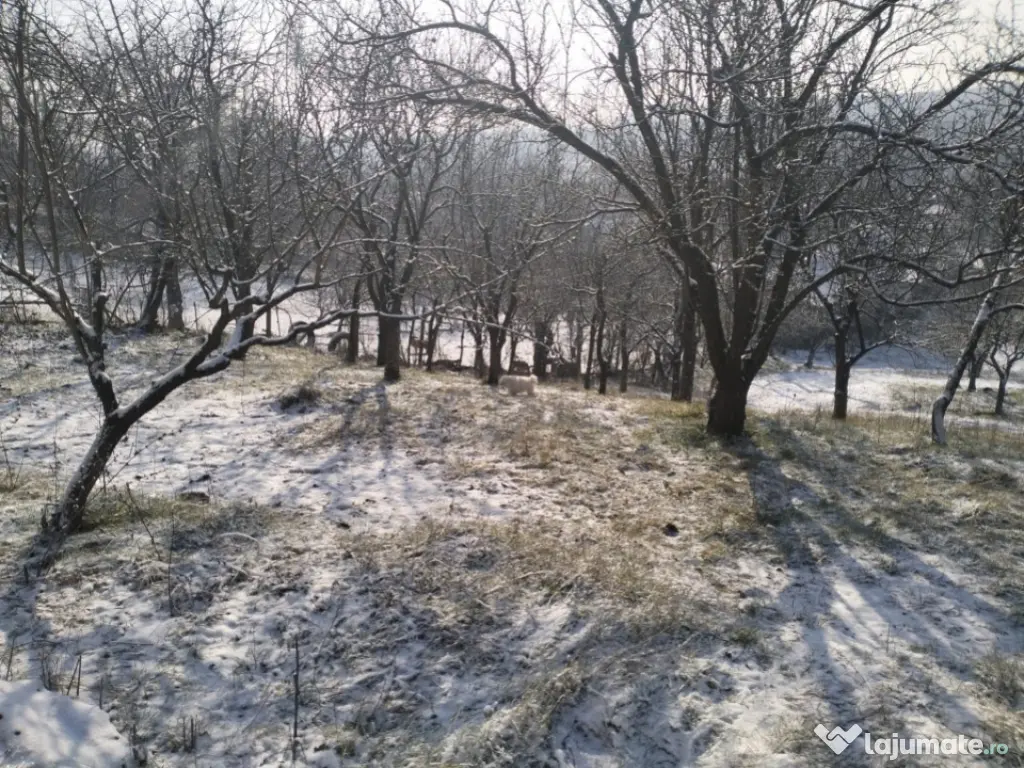 Moșia boierească din vârf de deal, Scorțeni - Prahova 