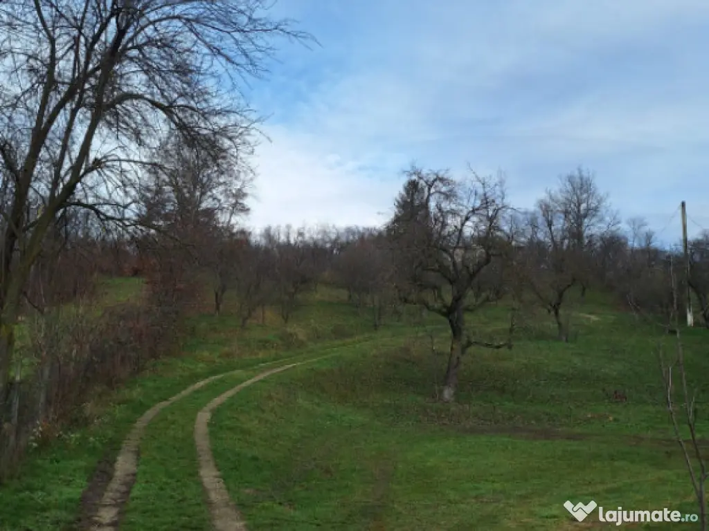 Moșia boierească din vârf de deal, Scorțeni - Prahova 