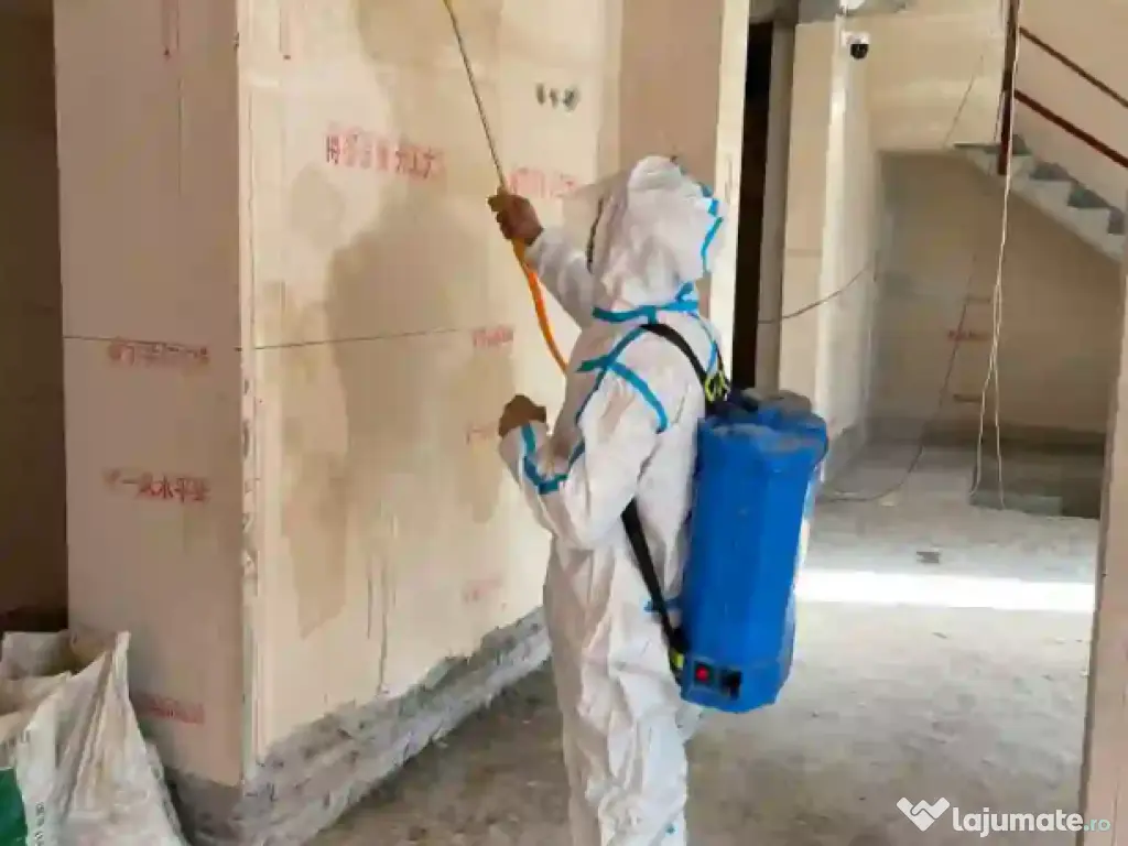 SECTORDDD – Dezinsectie plosnite, gandaci - Persoane Fizice/Juridice