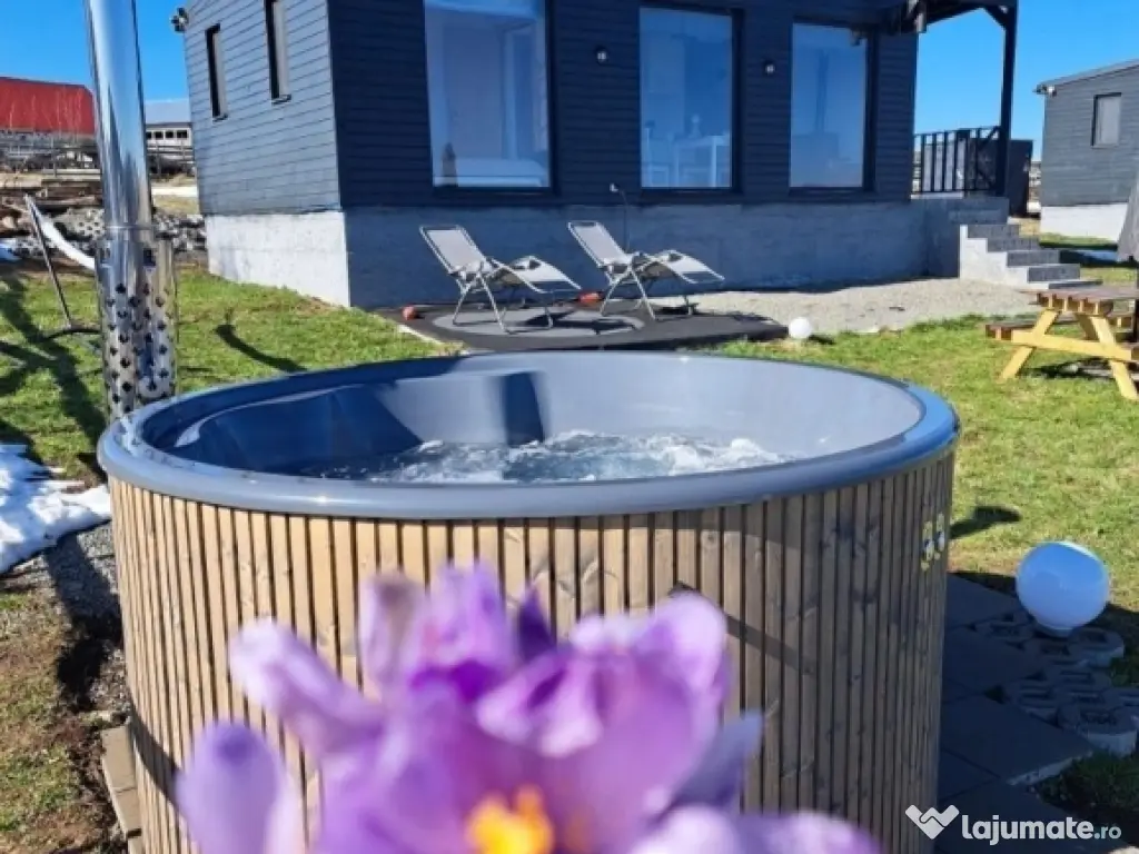 Cabana de inchiriat Tiny House Maguri ciubar 