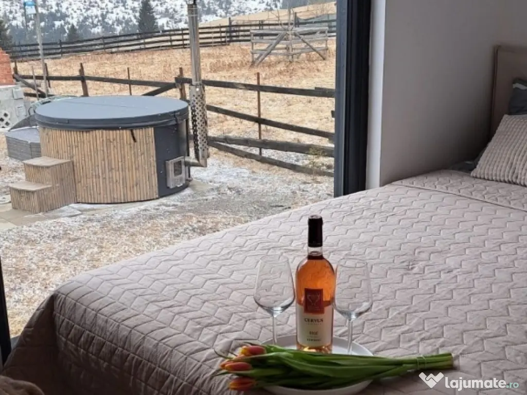 Cabana de inchiriat Tiny House Maguri ciubar 