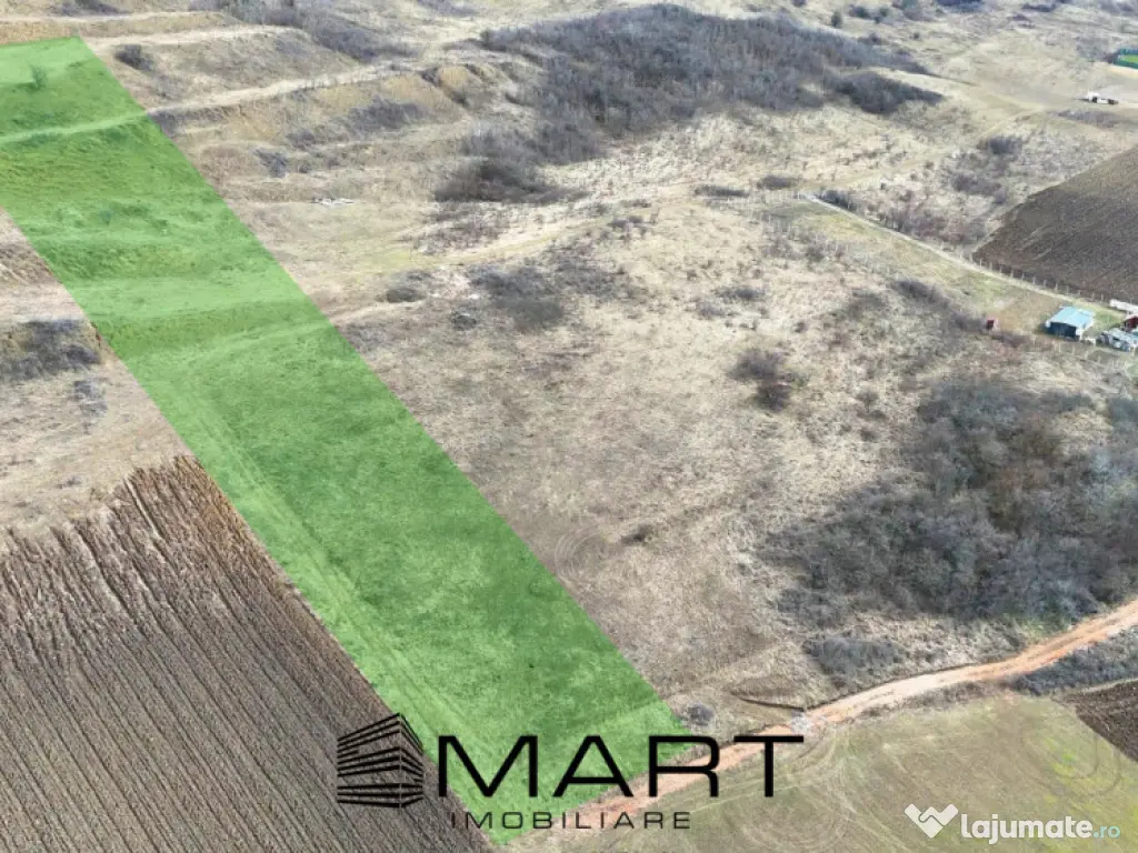 Teren extravilan 4500mp cu autorizatie adapost agrigol in Gu 