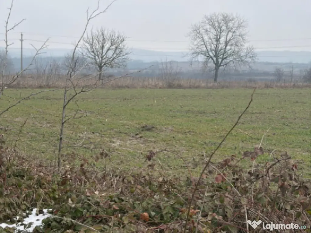 Teren de 9000mp, la intrarea in Filiasi ,la 300m de str. Rac