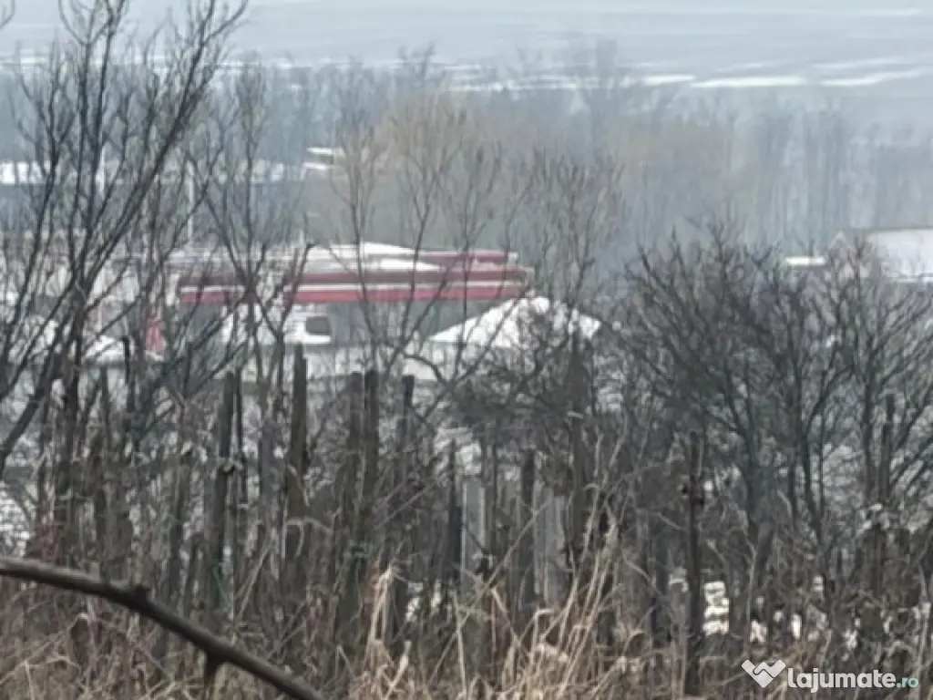 Teren de 9000mp, la intrarea in Filiasi ,la 300m de str. Rac