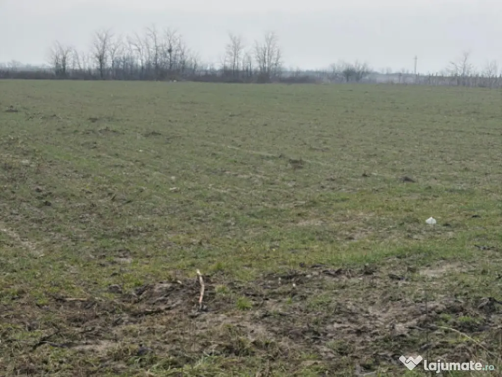 Teren de 9000mp, la intrarea in Filiasi ,la 300m de str. Rac