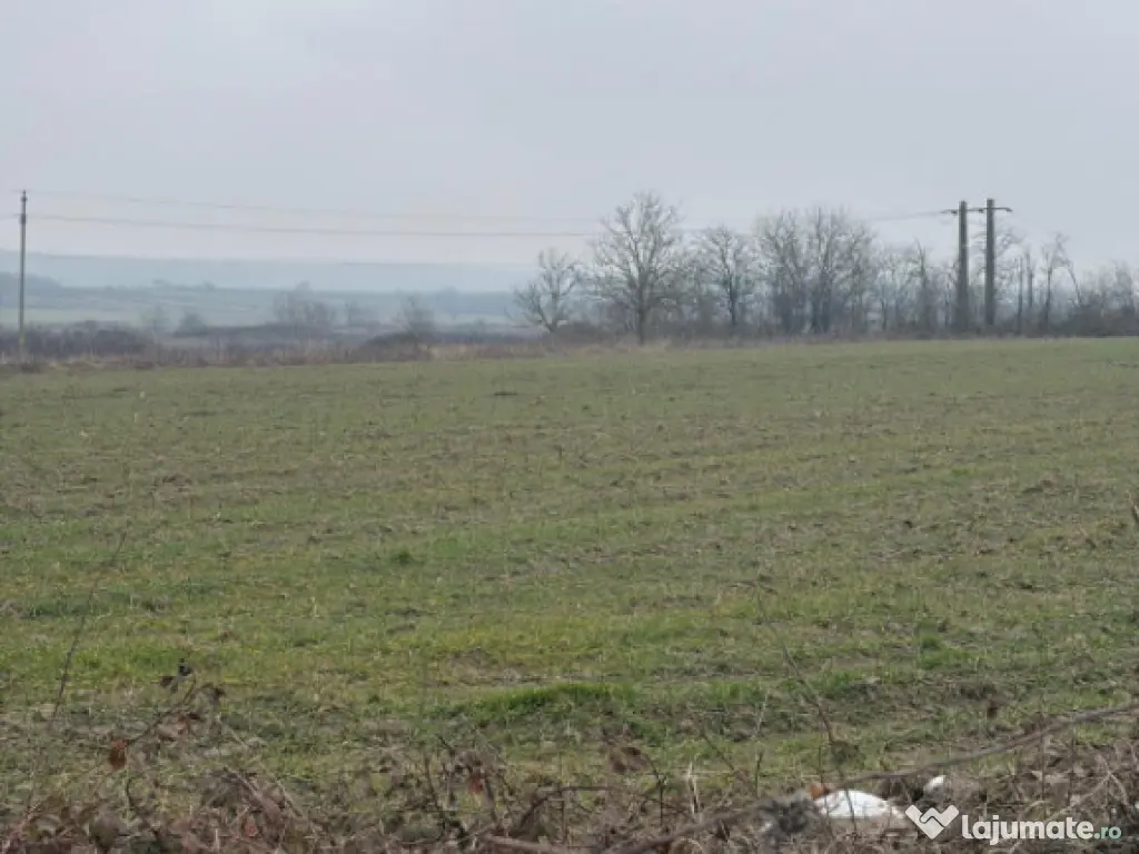 Teren de 9000mp, la intrarea in Filiasi ,la 300m de str. Rac