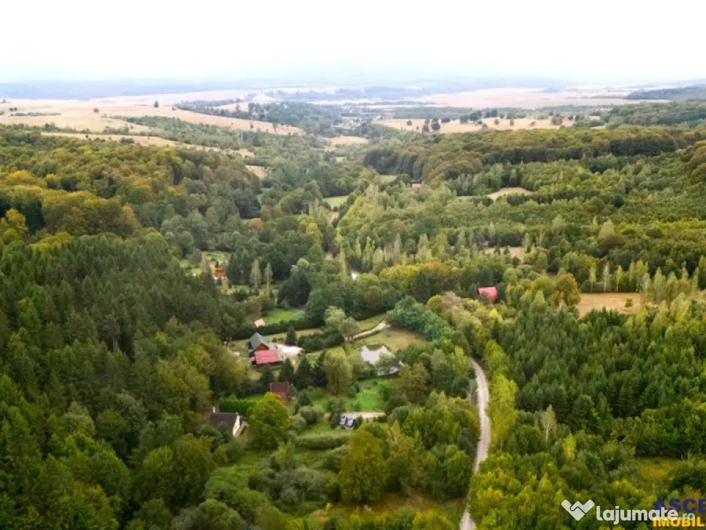 Tur 3D!Cabana de vacanta,zonare valoroasa, cu teren de 2.100