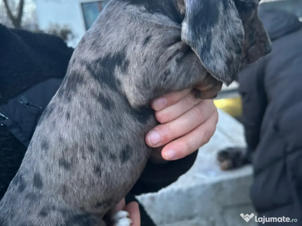 Uscător rufe # brațe # console 