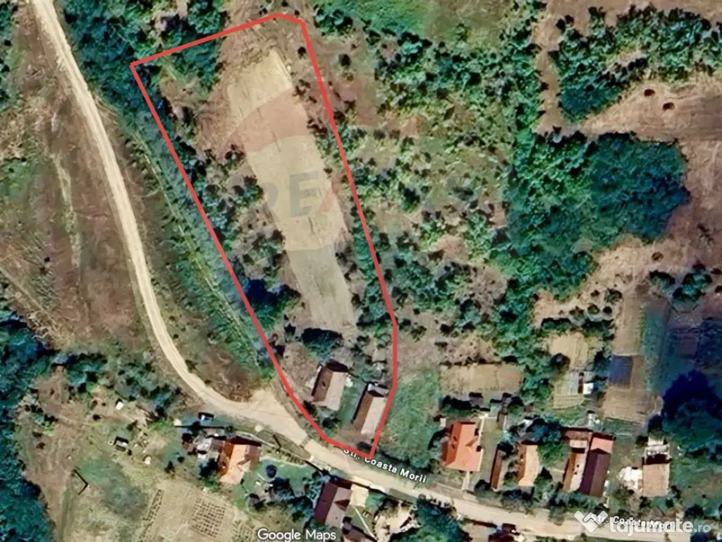 Teren Intravilan 4900mp Dabaca - Cluj - Proiect Turism Rural