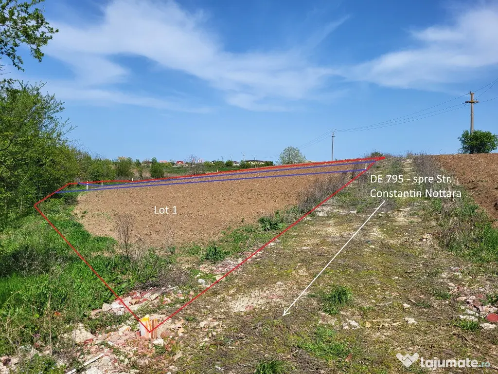 Teren Intravilan vedere la lacul Snagov zona de vile noi 500mp 